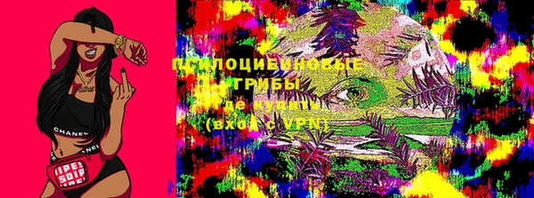 спайс Аркадак