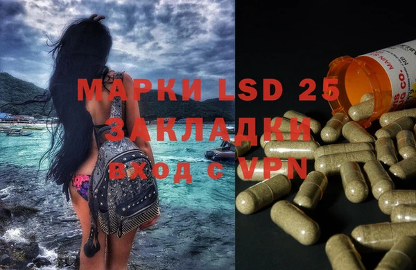 спайс Аркадак